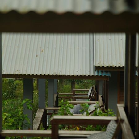 The Geckos Homestay Kelimutu Room photo