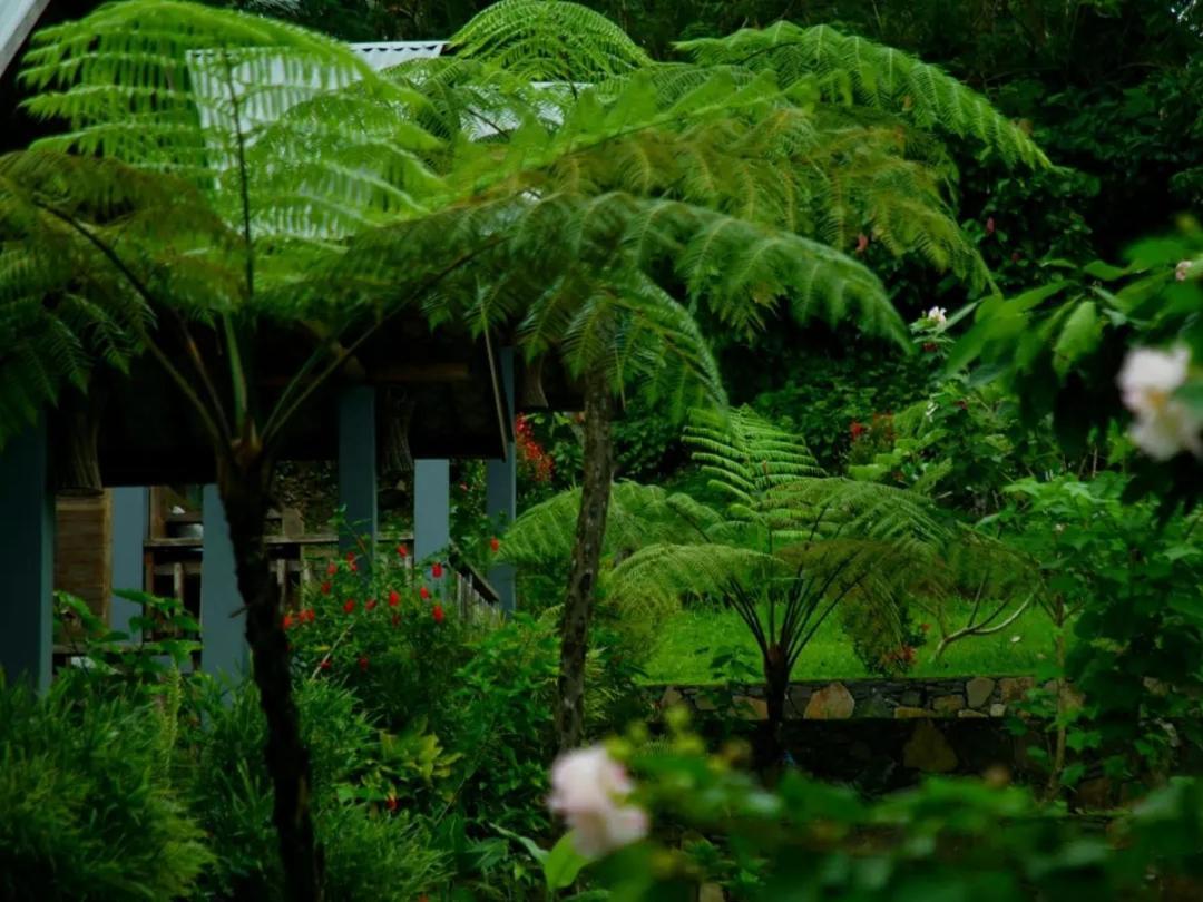 The Geckos Homestay Kelimutu Exterior photo