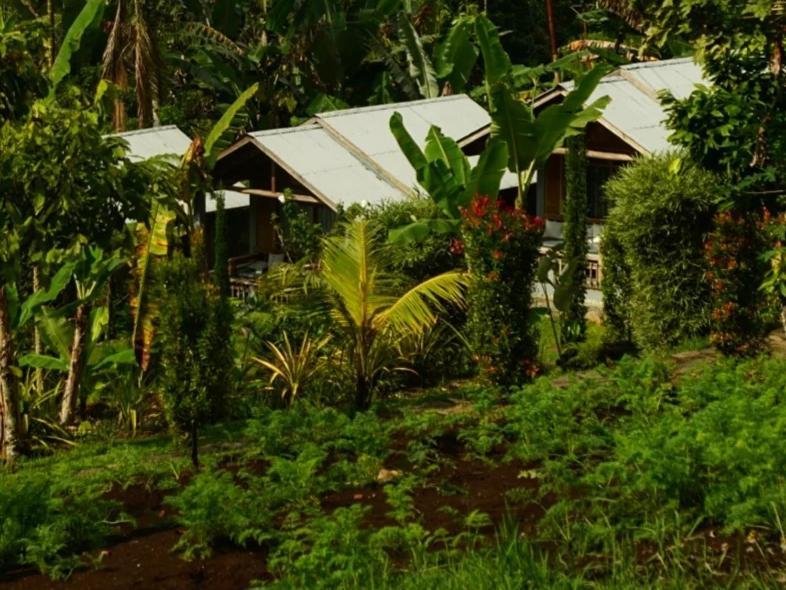 The Geckos Homestay Kelimutu Room photo