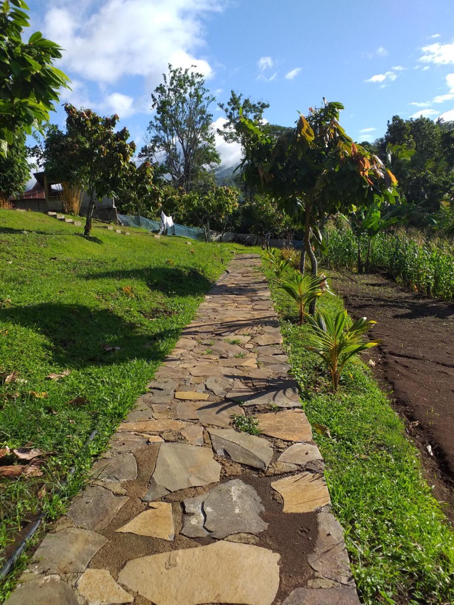 The Geckos Homestay Kelimutu Room photo