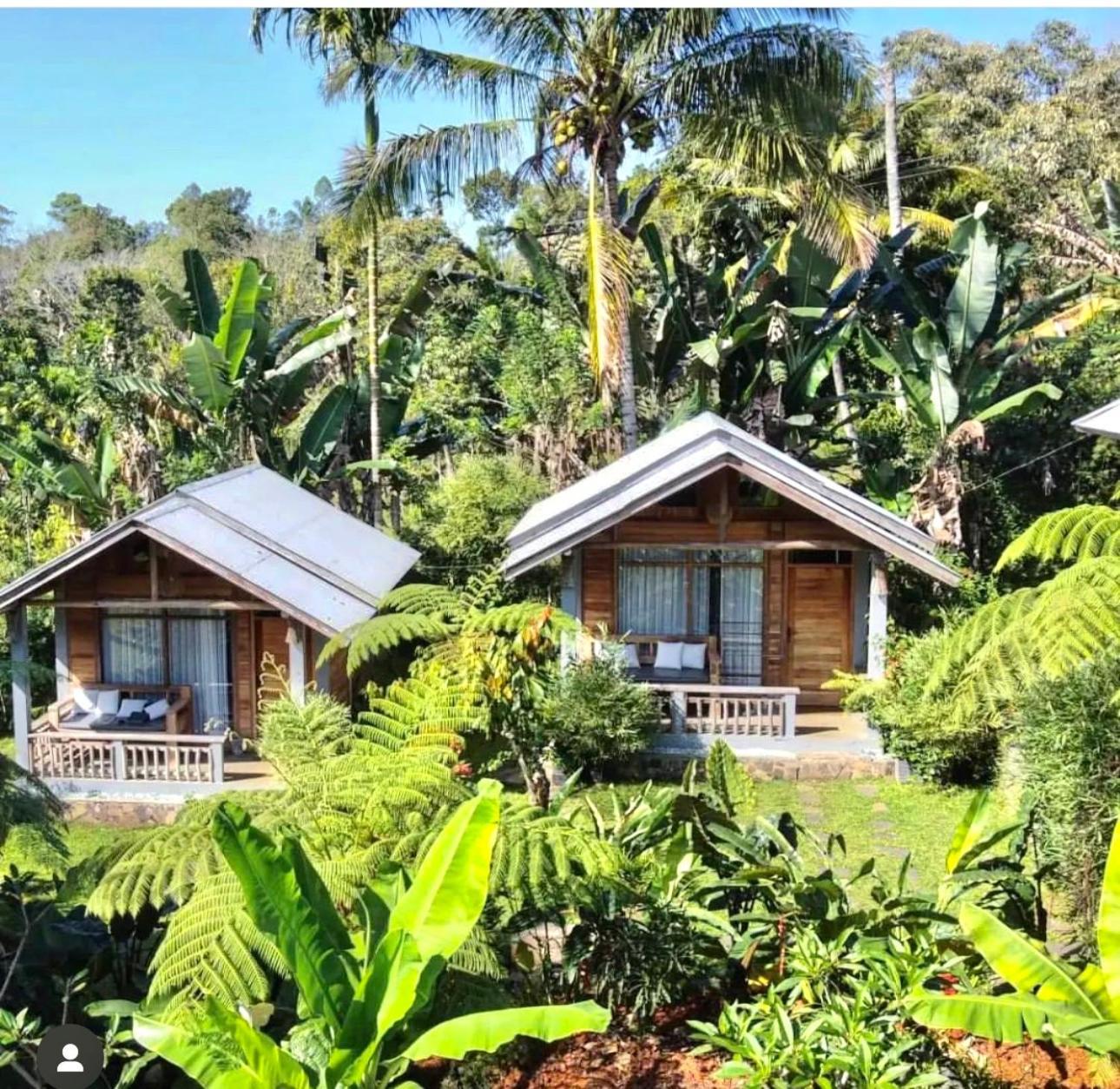 The Geckos Homestay Kelimutu Exterior photo